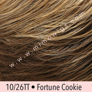 10/26TT • FORTUNE COOKIE | Light Brown & Med Red-Gold Blonde Blend with Light Brown Nape