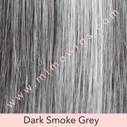 Blaze by Tressallure • Classic Look Collection - MiMo Wigs