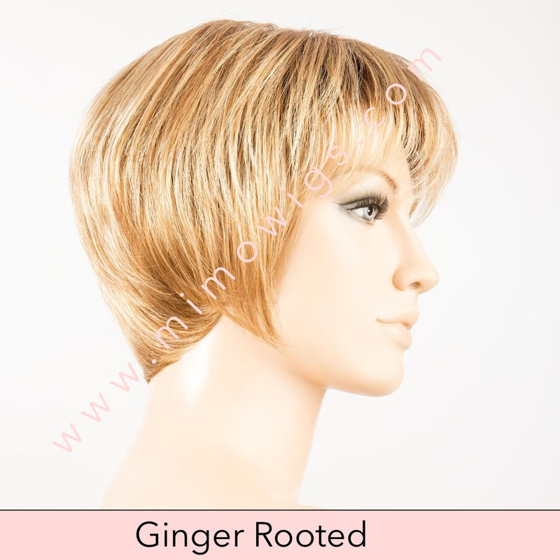 Charlotte by Ellen Wille • Perucci