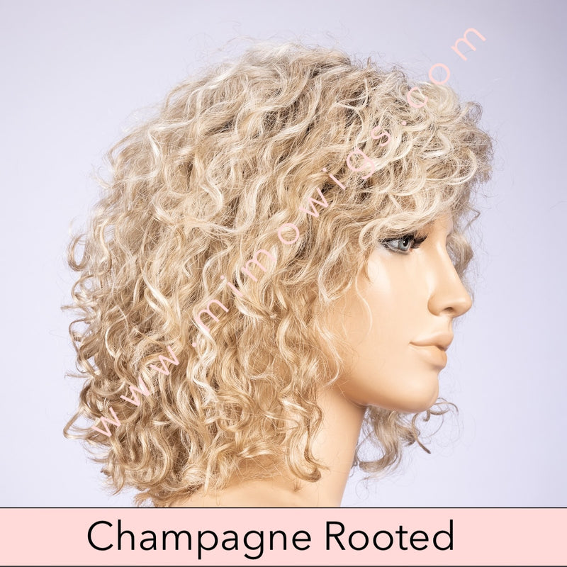 Disco by Ellen Wille • Perucci