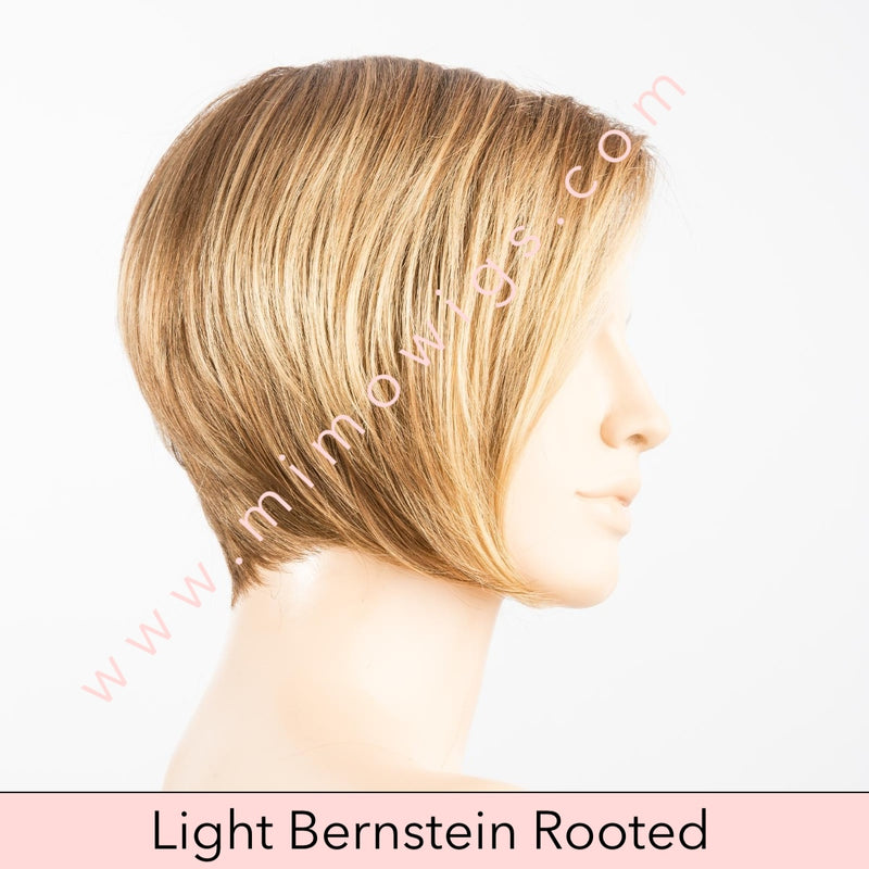 Java by Ellen Wille • Perruci Collection