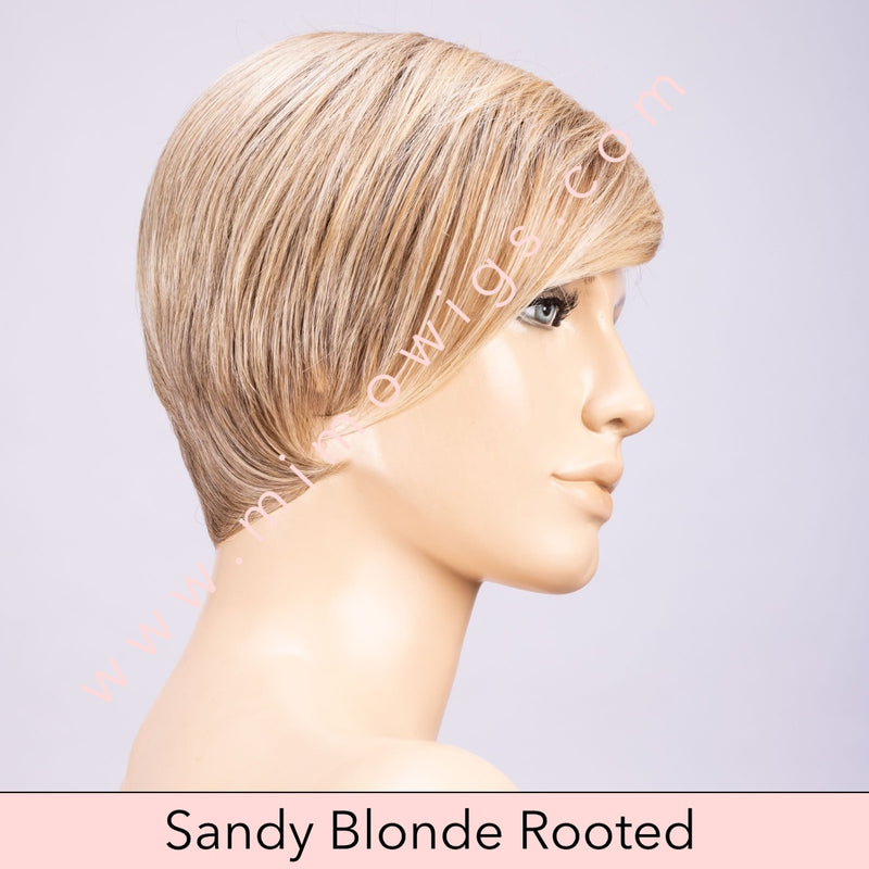 Link by Ellen Wille • Perruci Collection