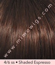 Stop Traffic by Raquel Welch - MiMo Wigs