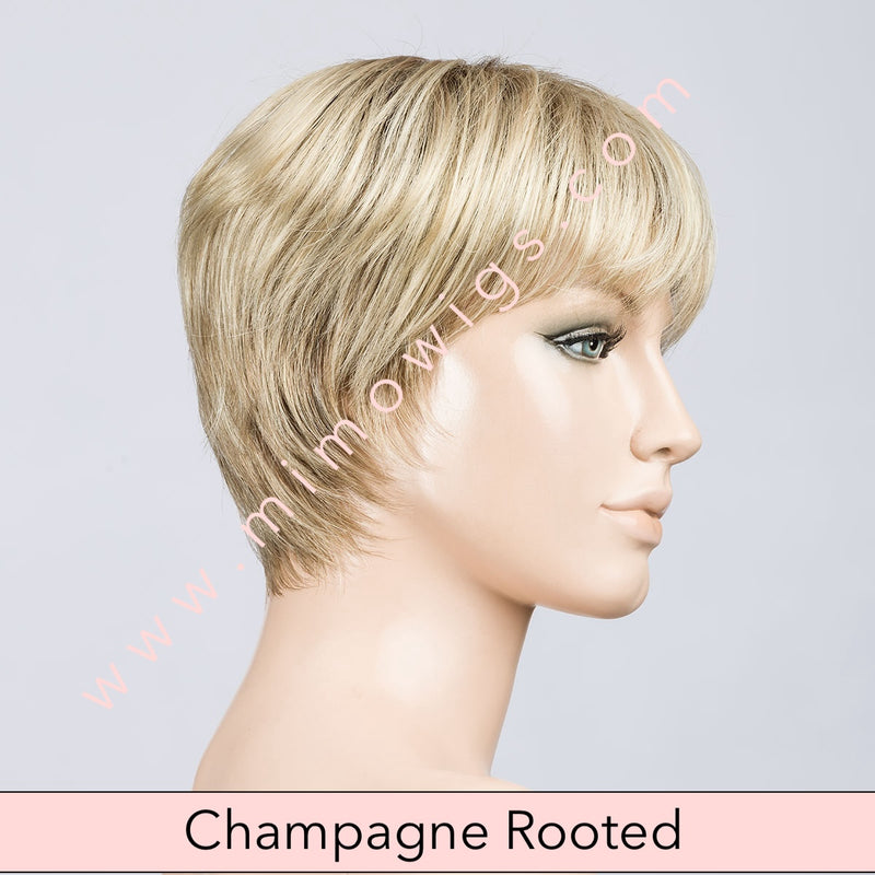 Tool by Ellen Wille • Perucci