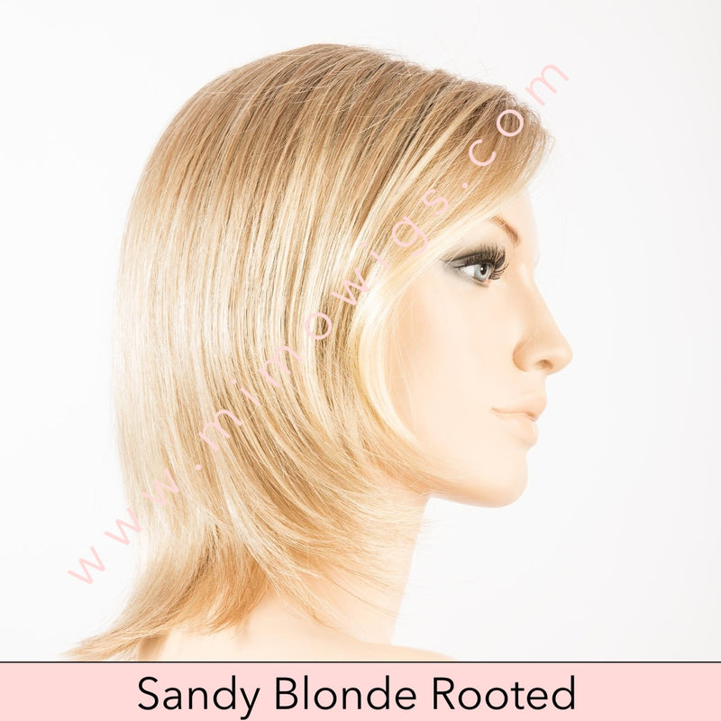 United by Ellen Wille • Perucci