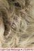 Hazel by Sentoo • Lotus Collection | shop name | Medical Hair Loss & Wig Experts.