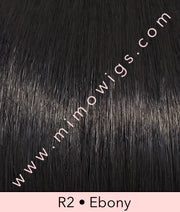 Star Quality by Raquel Welch • Signature Collection - MiMo Wigs